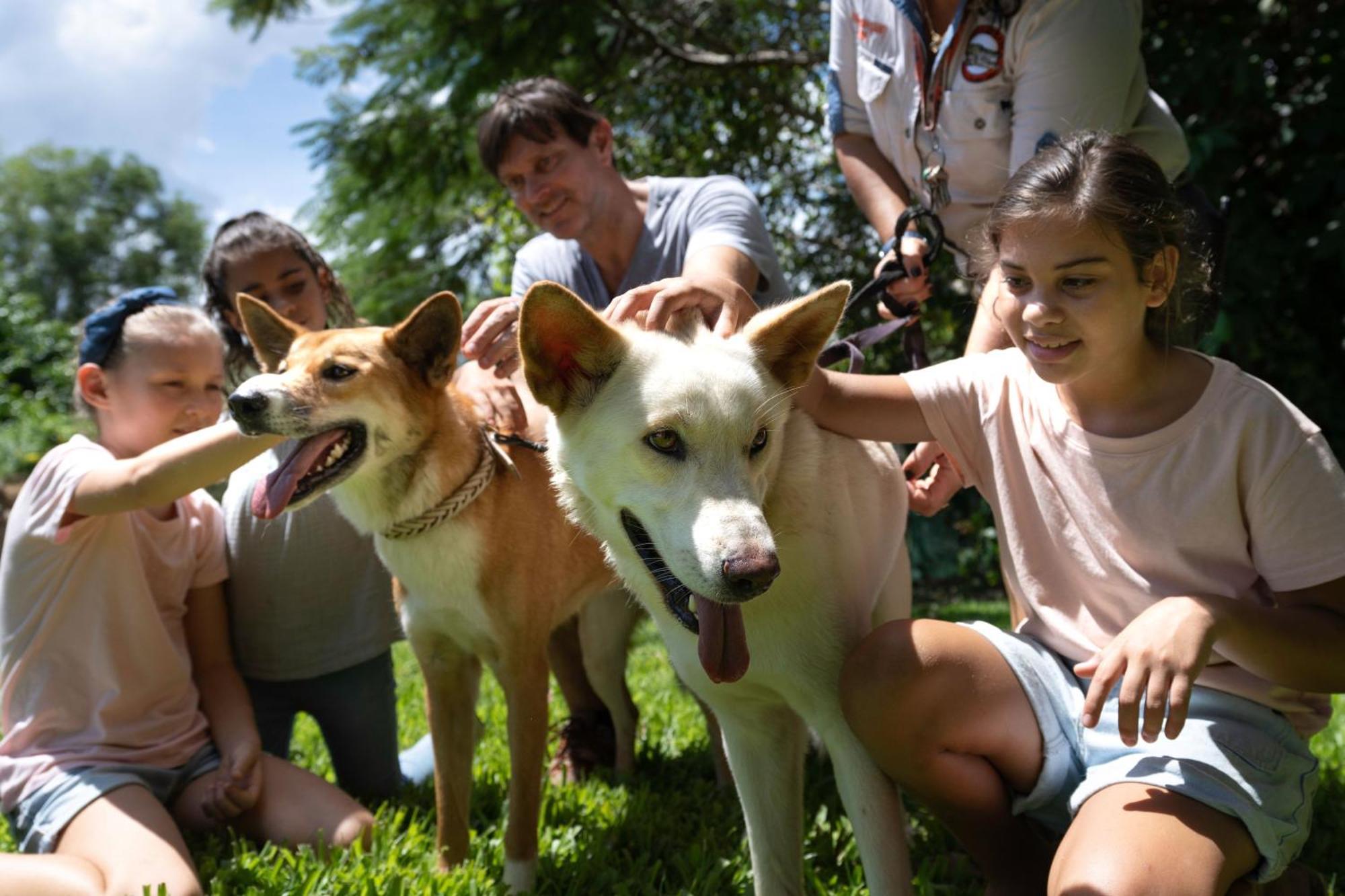 Darwin Freespirit Resort Kültér fotó